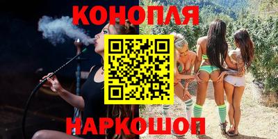 тгк Кудрово