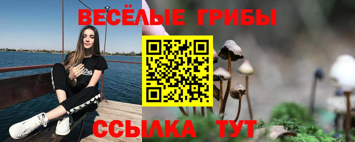 Галлюциногенные грибы MAGIC MUSHROOMS  Вход с VPN  Малоярославец  Галлюциногенные грибы GOLDEN TEACHER 